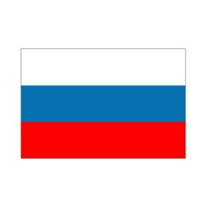画像1: 卓上旗　ロシア