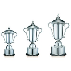 高級優勝カップPS1161画像