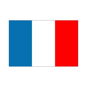 画像1: 卓上旗　フランス
