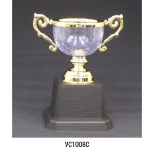 クリスタルカップVC1008イメージ2
