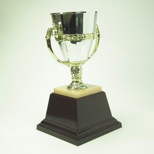 格安カップNo2127画像3