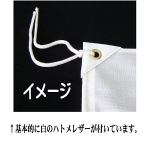 サントメ・プリンシベ国旗画像3