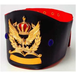 画像1: チャンピオンベルトCHP2：ボクシング・空手・プロレス・格闘技・の大会に使用可能なチャンピオンベルト