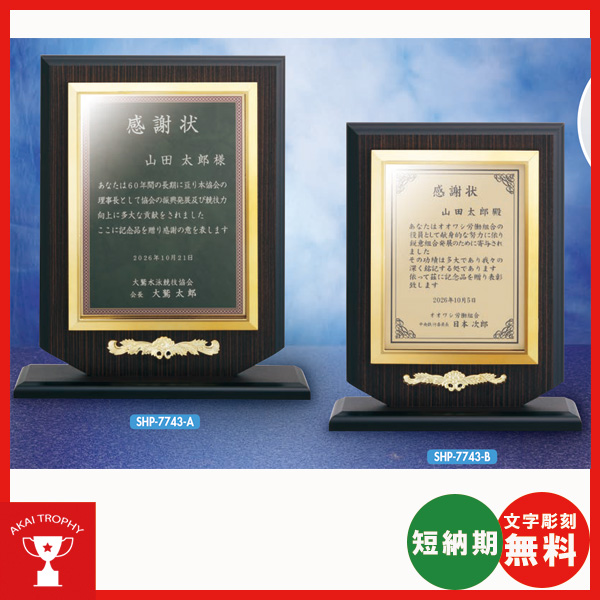 【非売品】イチロー殿堂入り記念 表彰楯レプリカ 美品【非売品】イチロー殿堂入り記念 表彰楯レプリカ - メルカリ